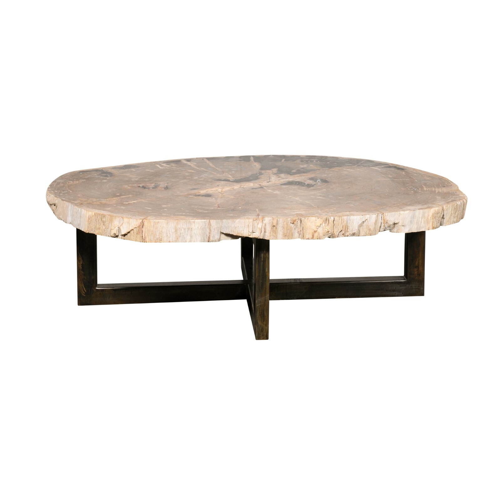 Large Oval Petrified Wood Slab Coffee Table