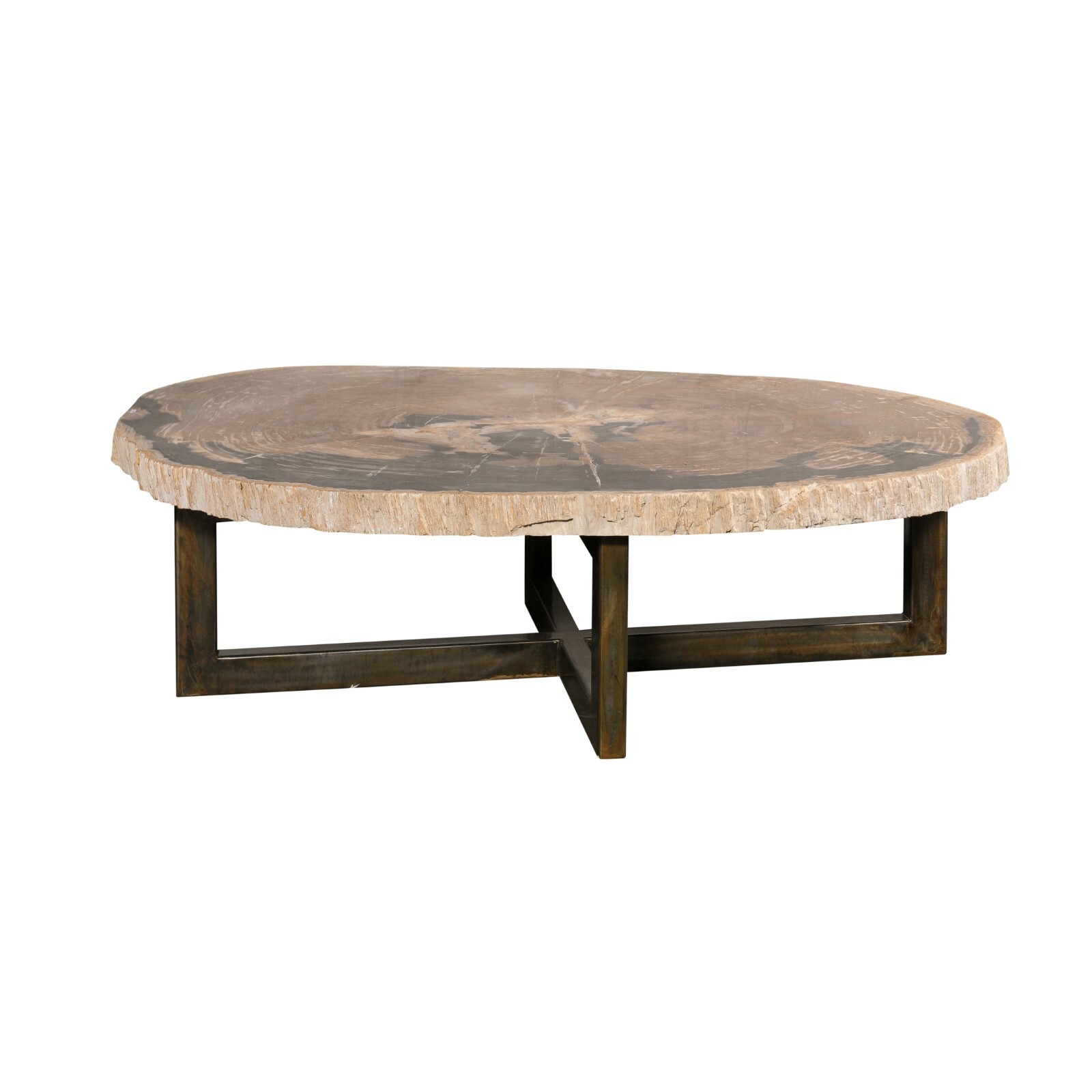 Huge Live-Edge Petrified Wood Coffee Table