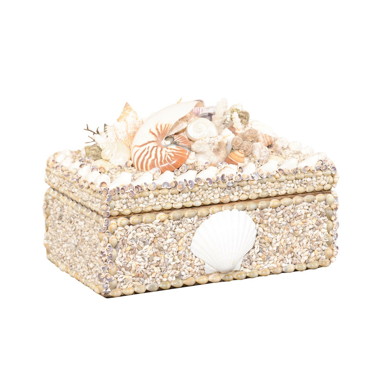 Sea Shell Box Artisan Crafted One-of-a-Kind