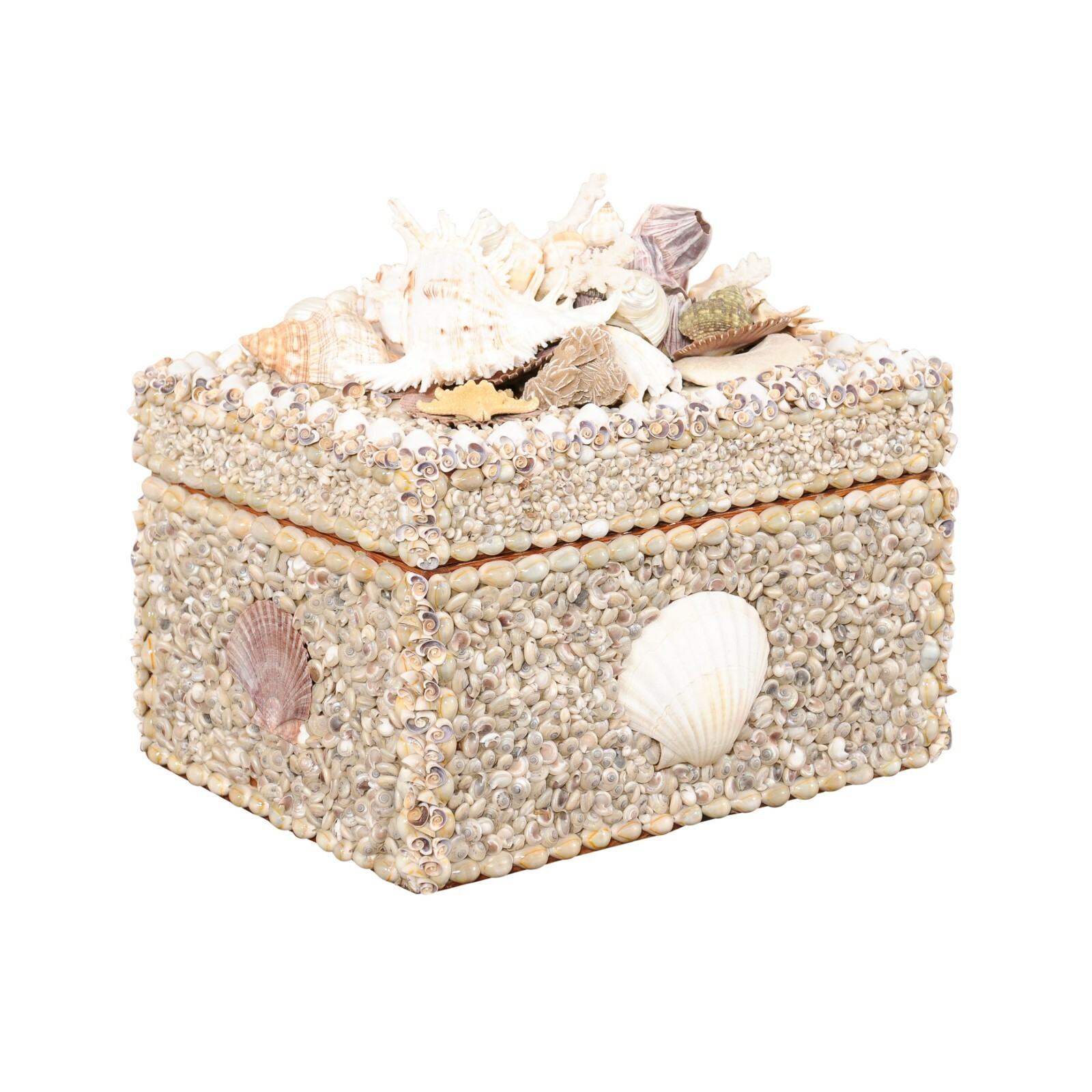 Seashell Box Decoration, Artisan Crafted