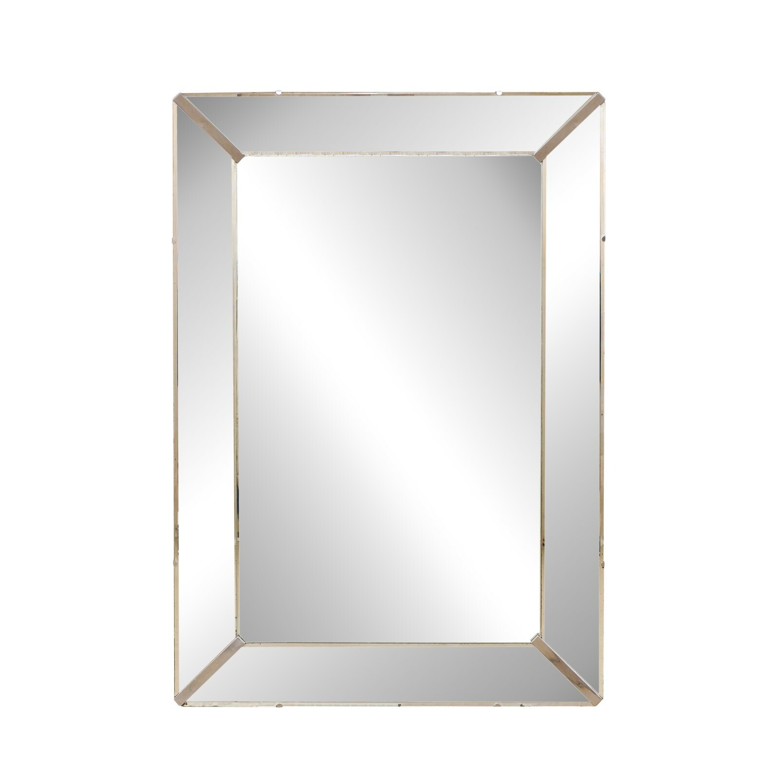 Large Rectangular Mirror w/Mirror Surround
