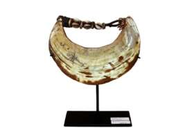 Accessories 323