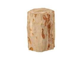 Table-1309
