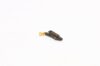 Jewelry-177