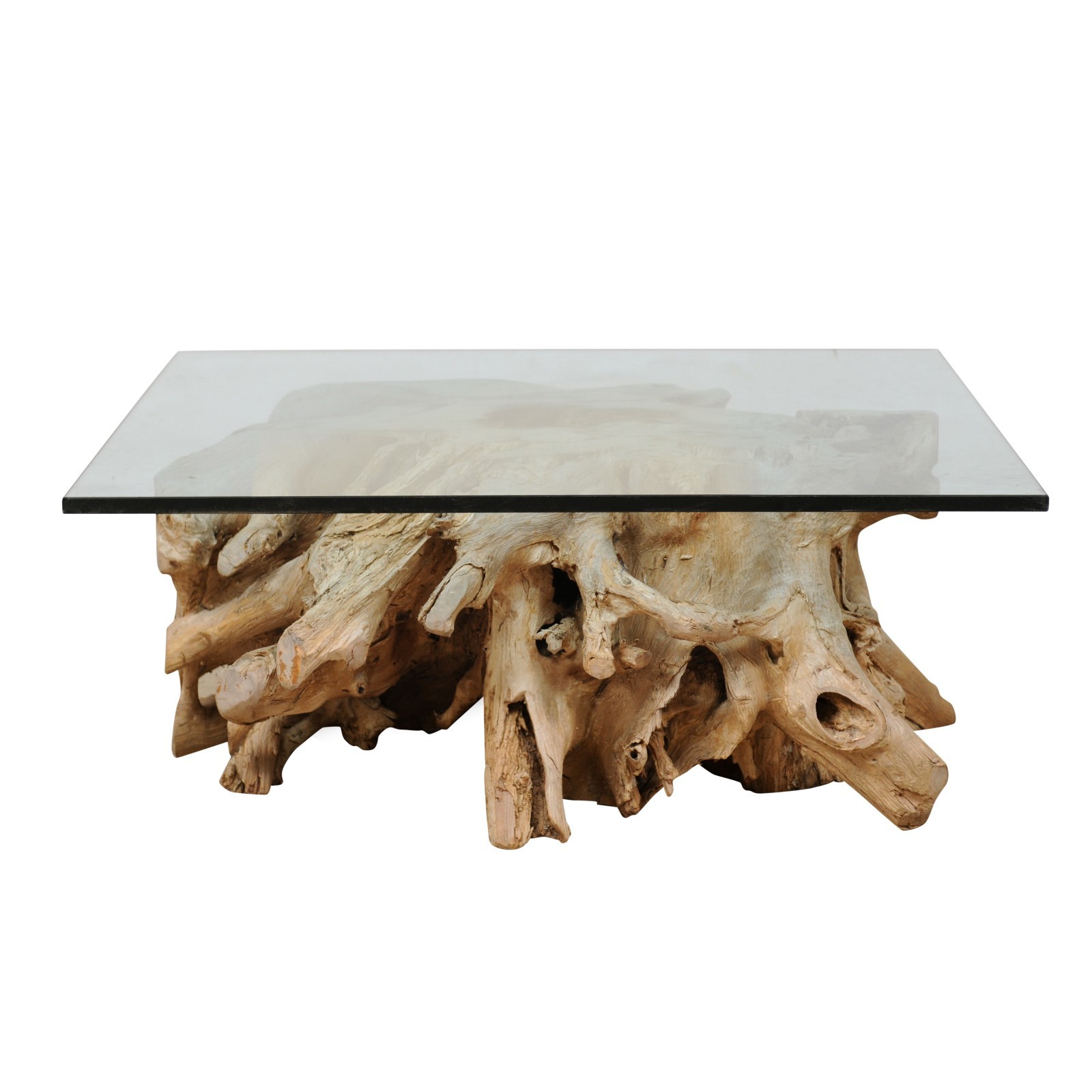 A Tree Root & Glass Coffee Table