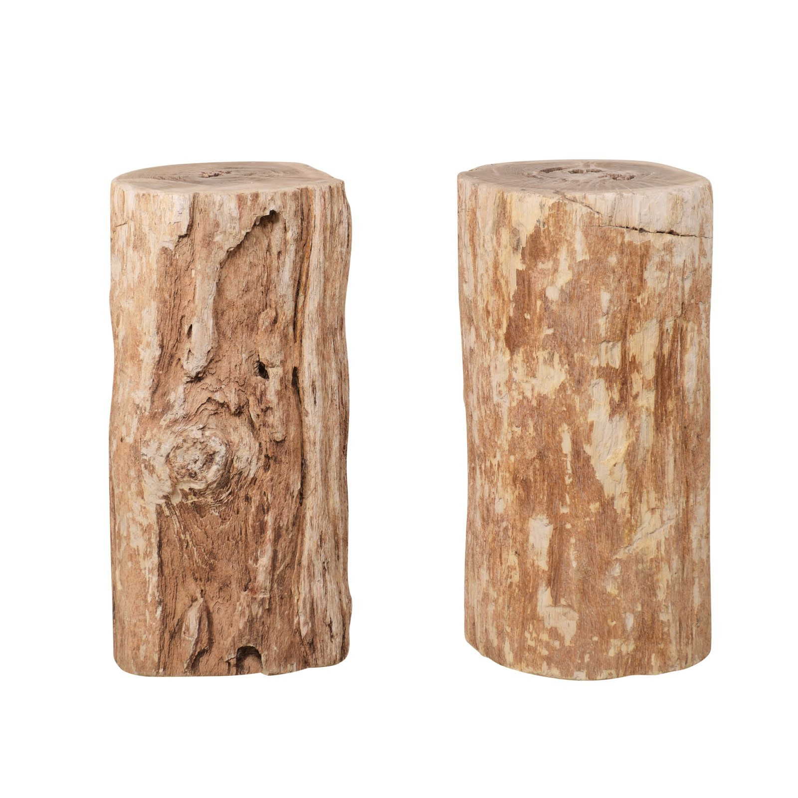Pair Petrified Wood Pedestals