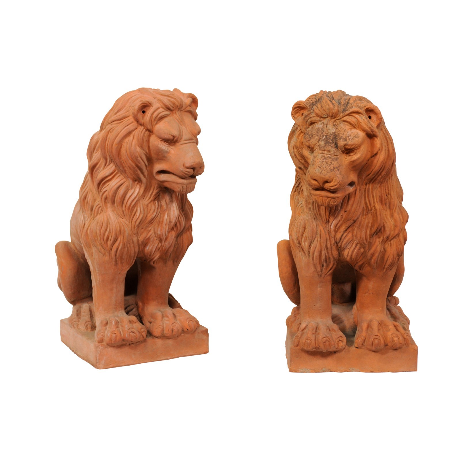 Pair French Snarling Lions, 2 ft Tall