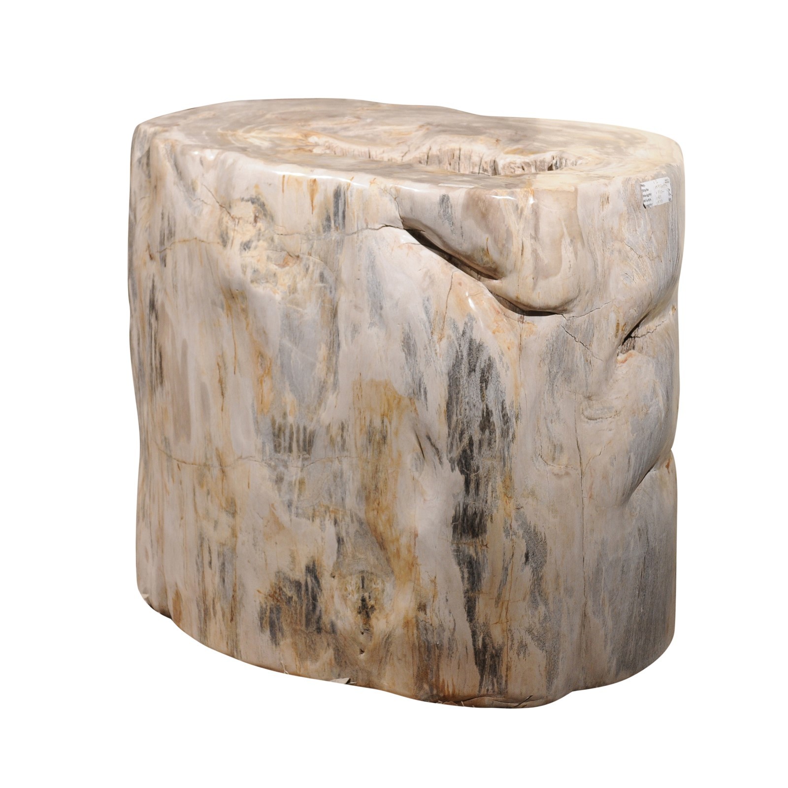 A Very Large Petrified Wood Table Base