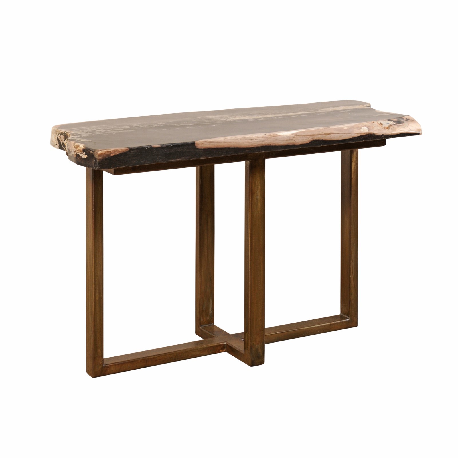 Petrified Wood Modern Console Table