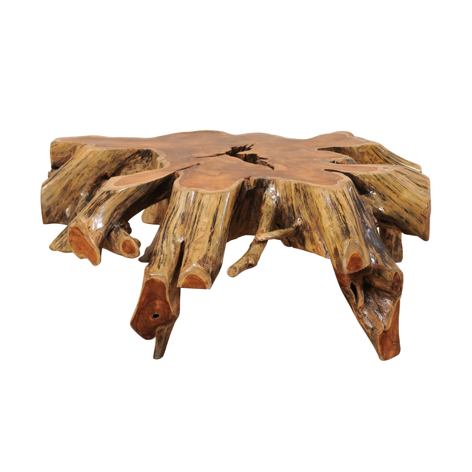 Natural Tree Root Coffee Table