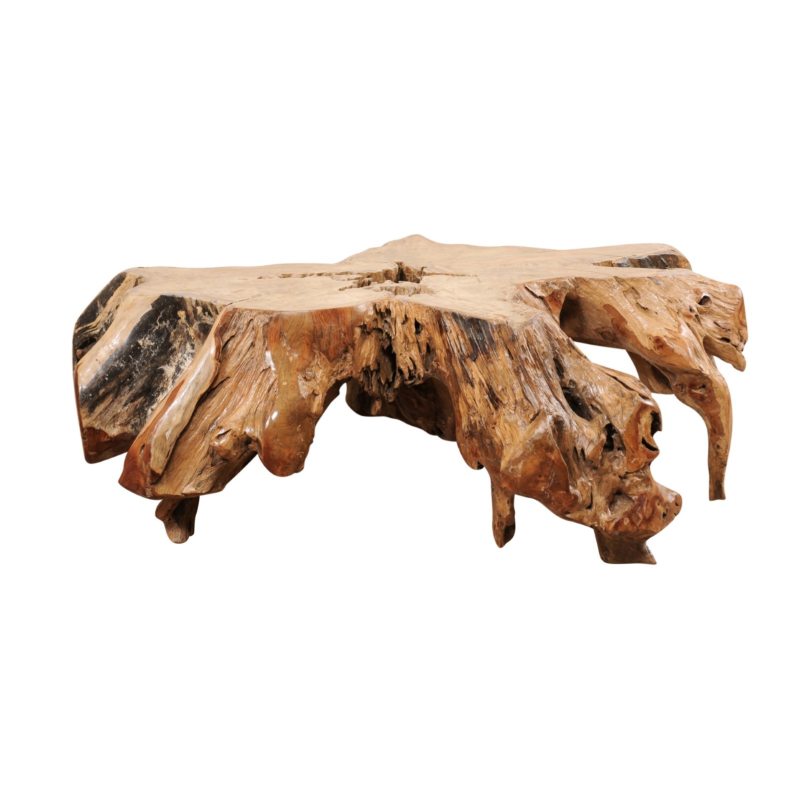 Teak Root Coffee Table