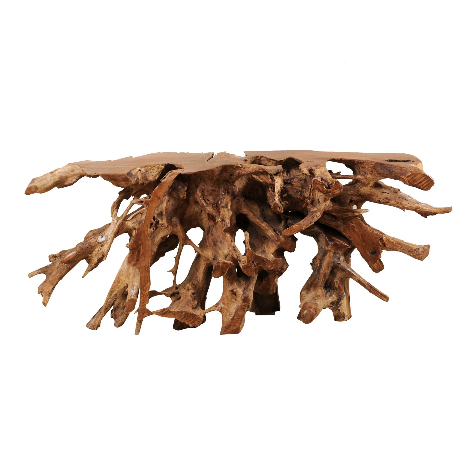 A Polished Teak Root Console Table