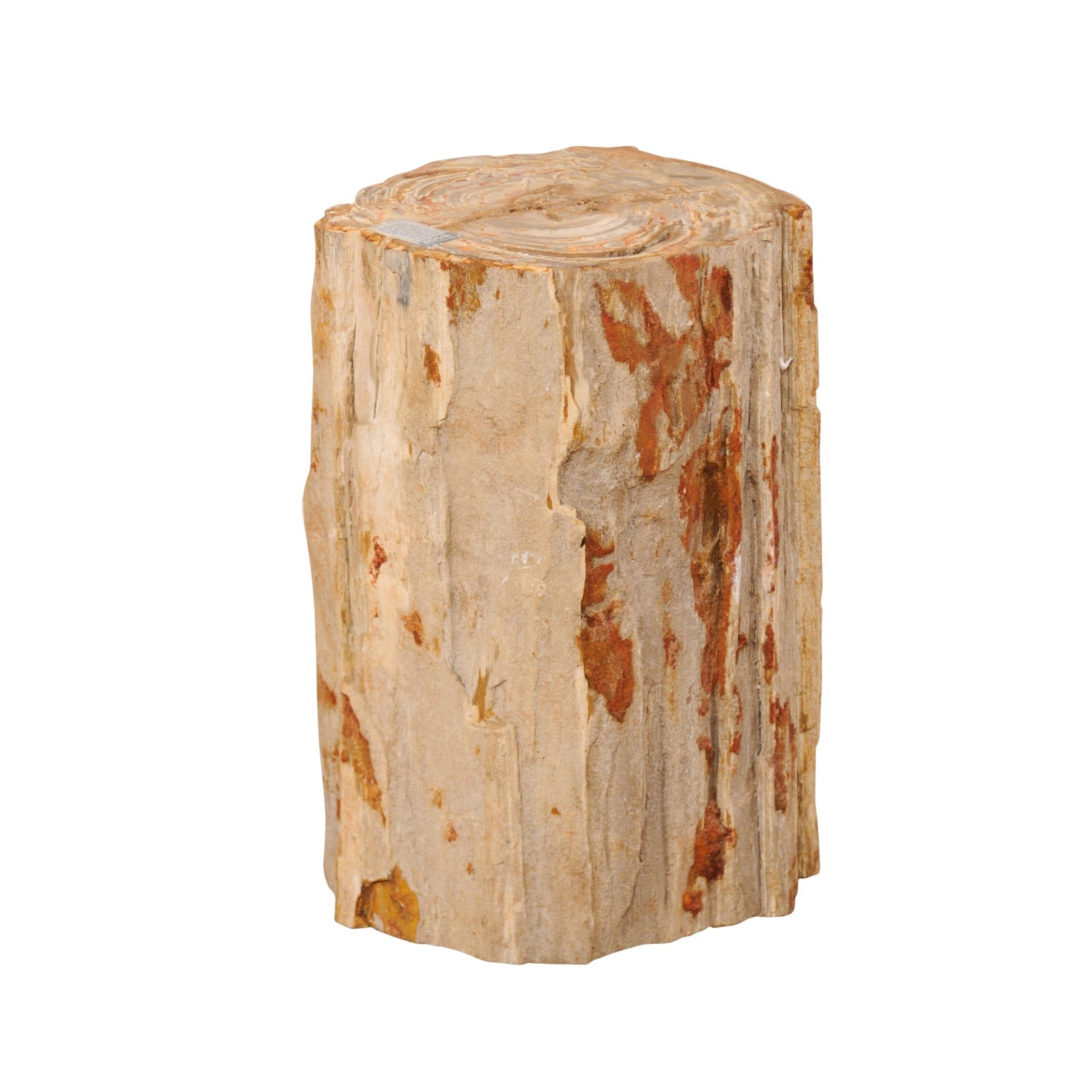 Live-Edge Petrified Wood Stool or Table