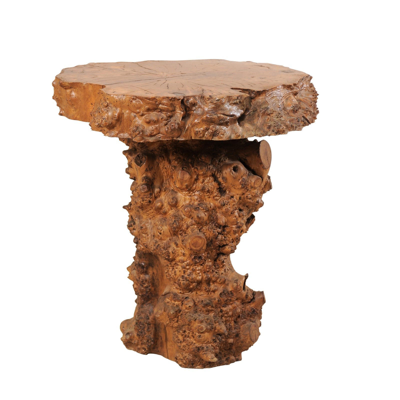 Burl Slab Top & Live-Edge Trunk Side Table