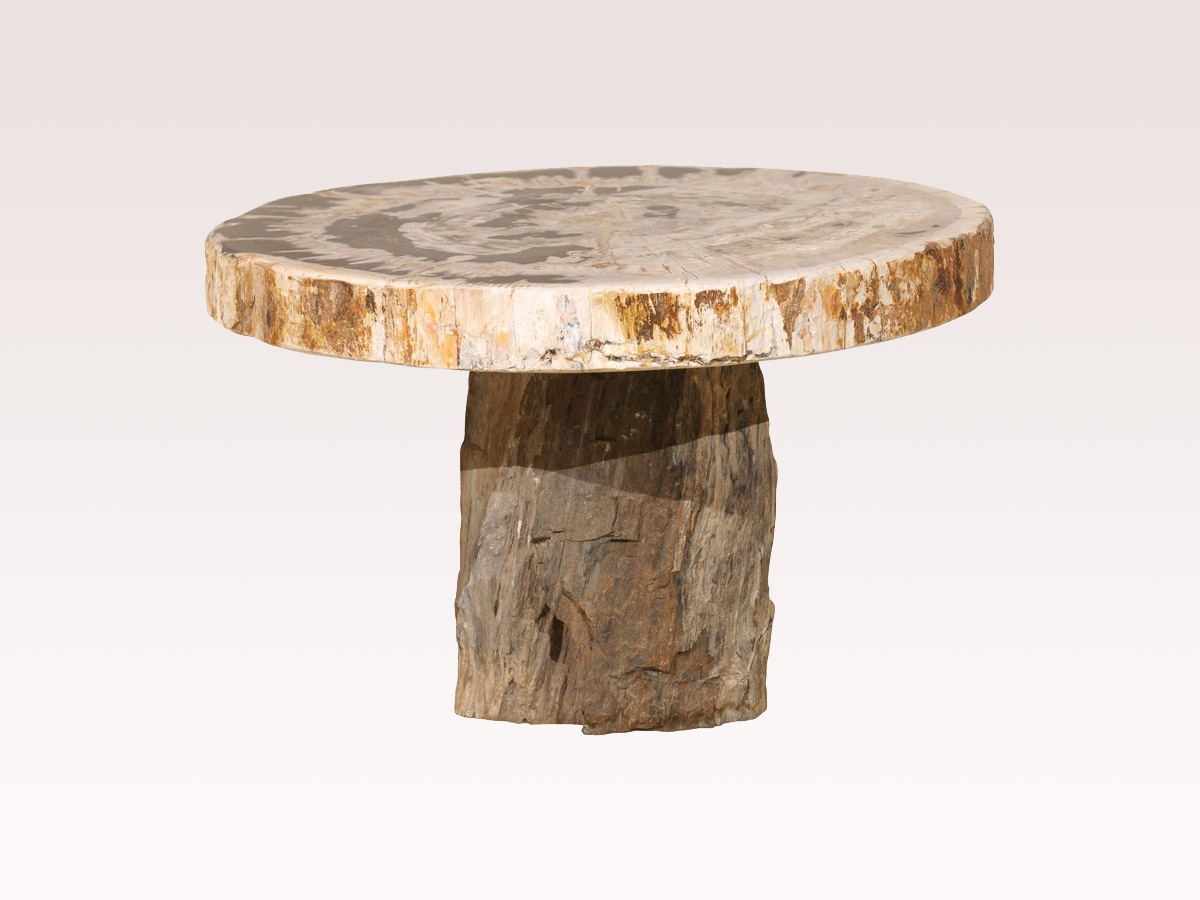 Petrified Wood Coffee Table 905 A Tyner Antiques