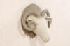 Accessories-2130