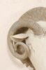 Accessories-2130