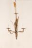 Chandelier 646
