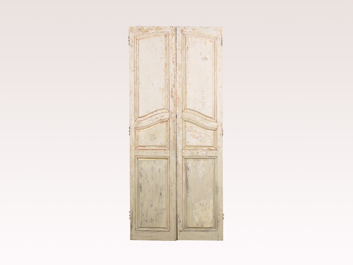 Pair of French 19th C. Tall Doors