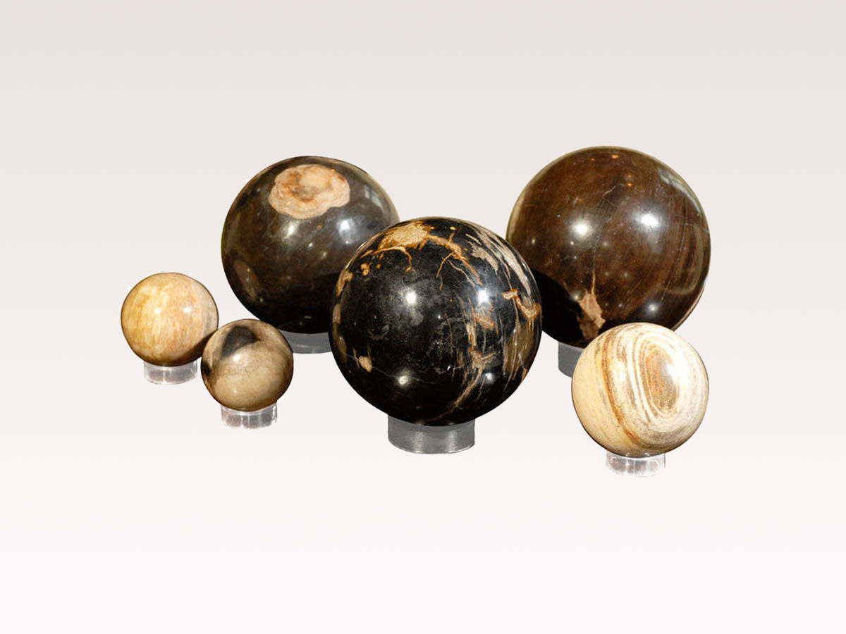 Petrified Wood Spheres on Stand